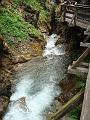 AUS04062009 (63)